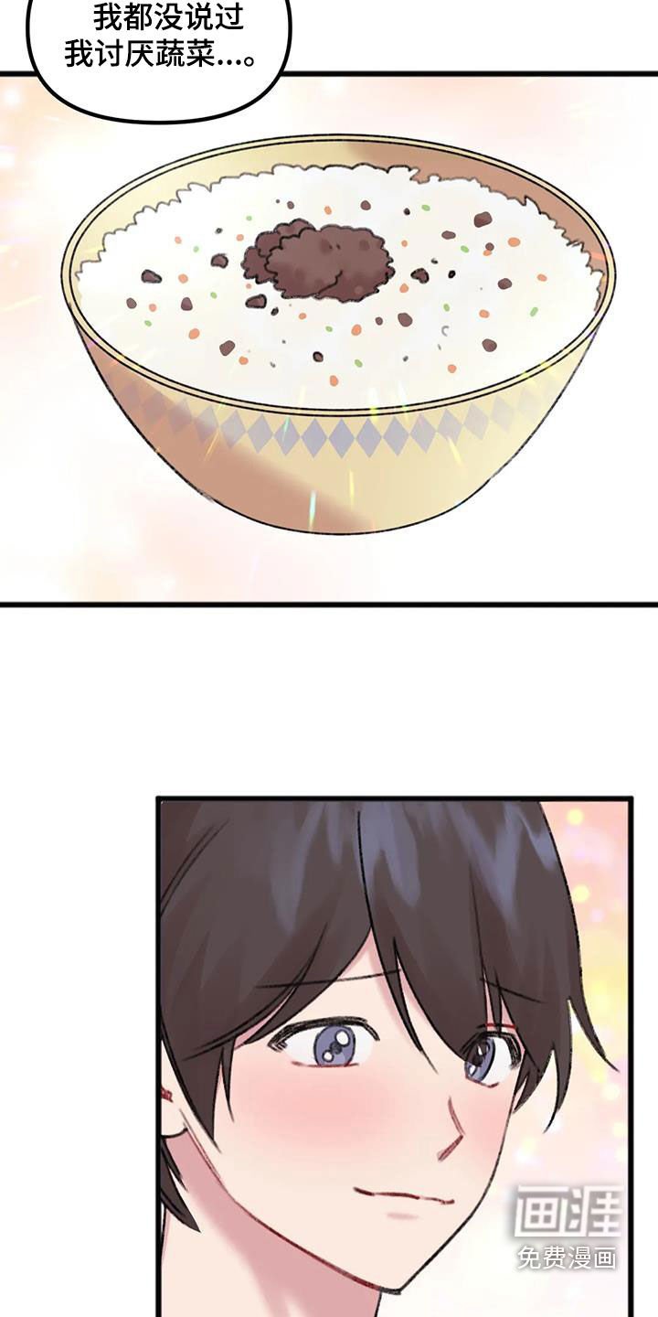第22章：对比