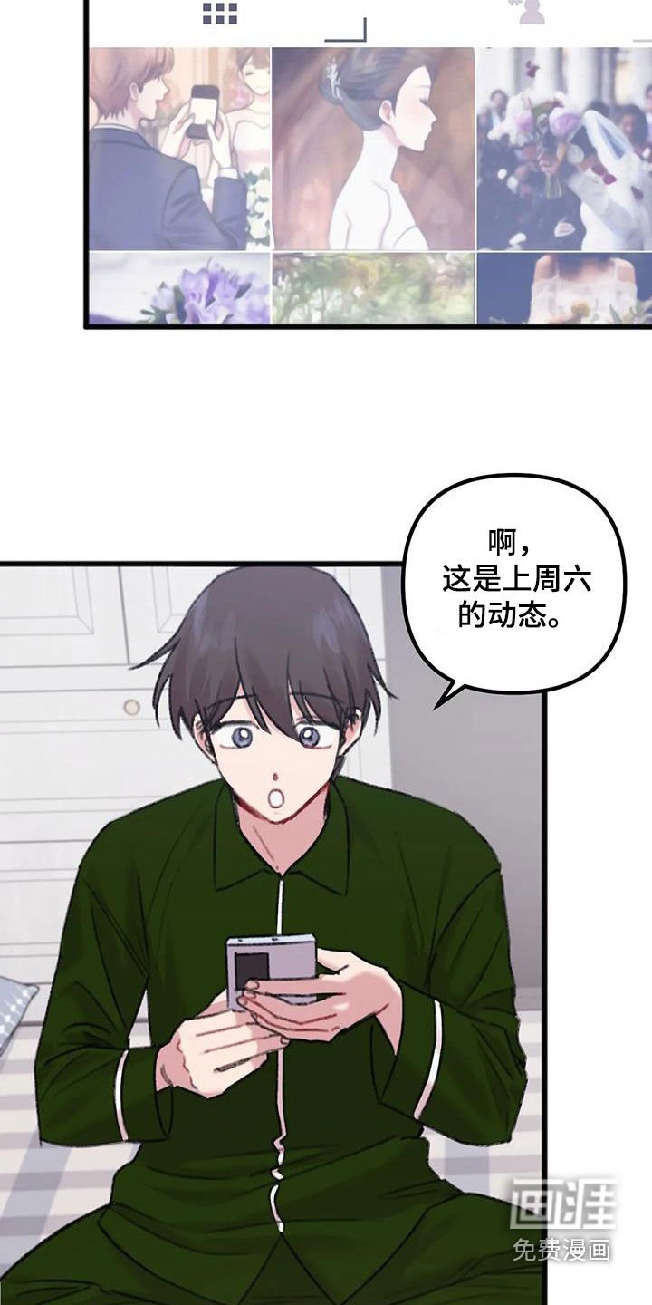 第22章：对比
