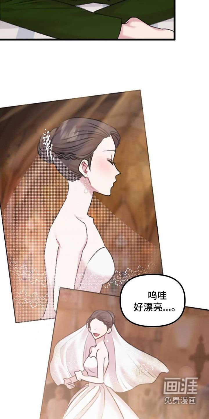 第22章：对比