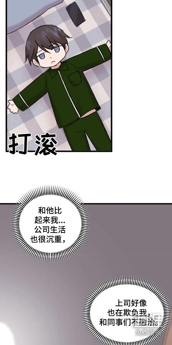 第22章：对比