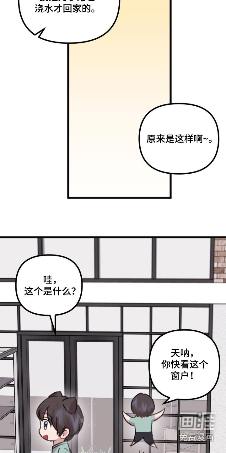 第39章：好奇