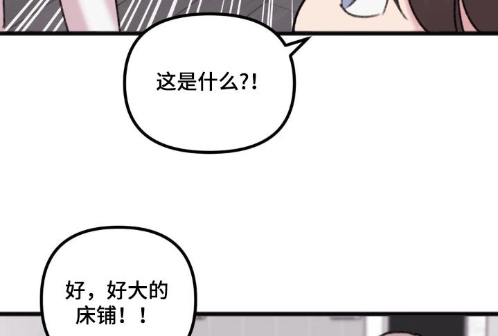 第49章：柔软的床