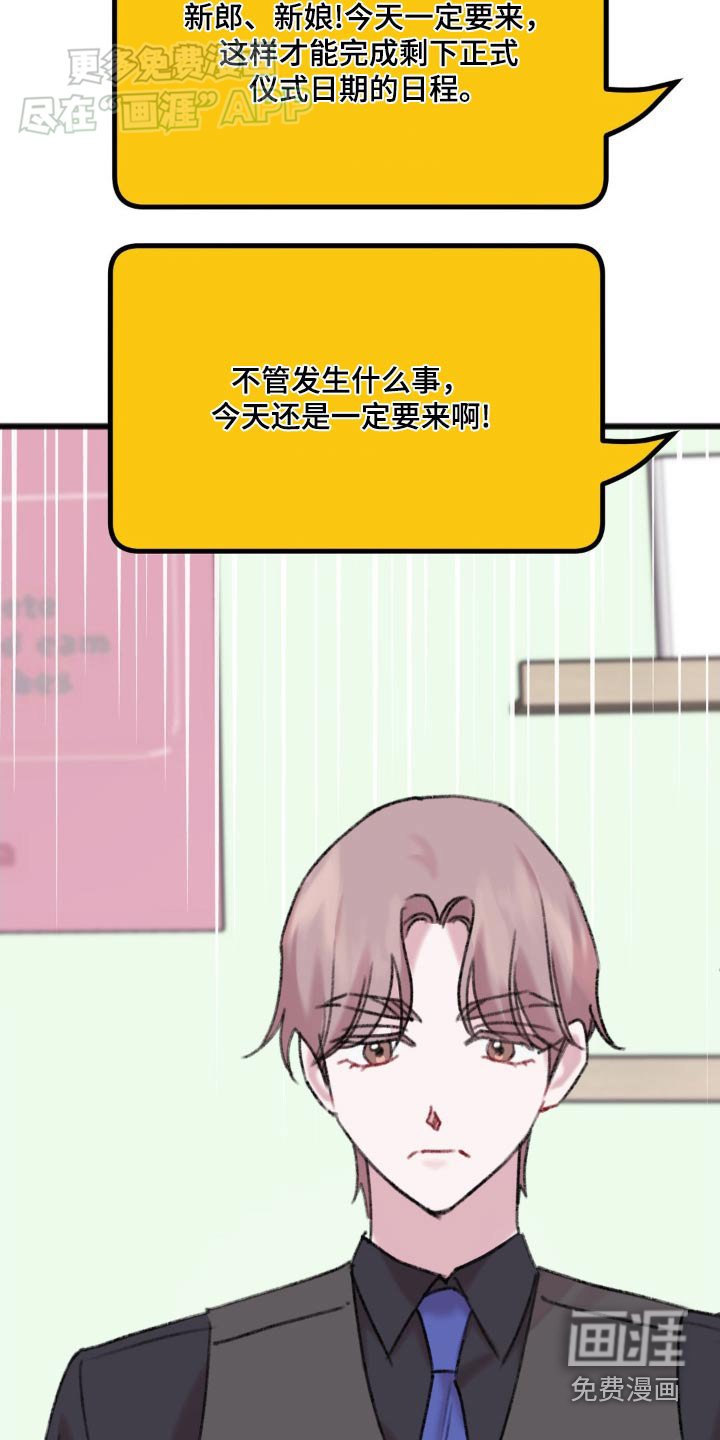 第56章：没来