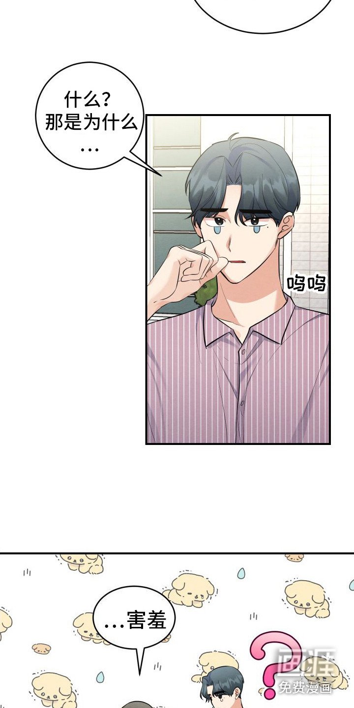 第8章：解释