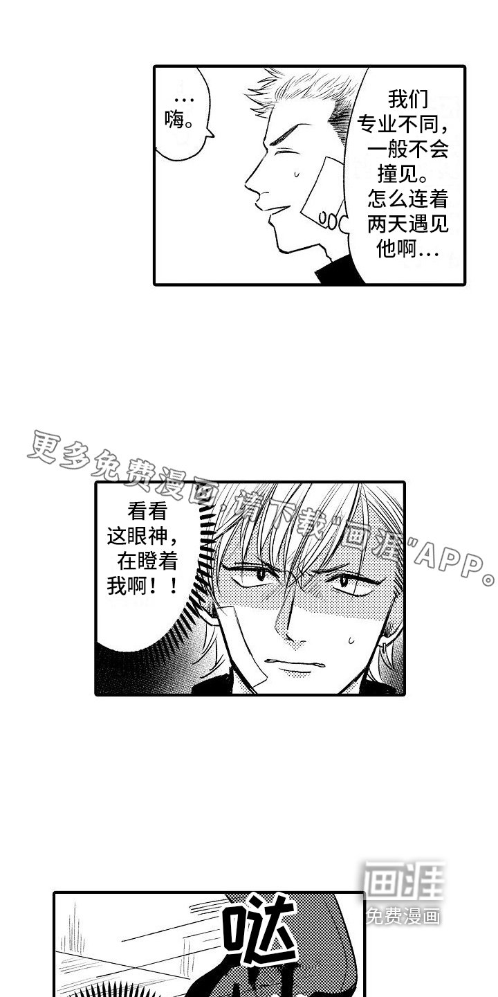 第13章：意外发现