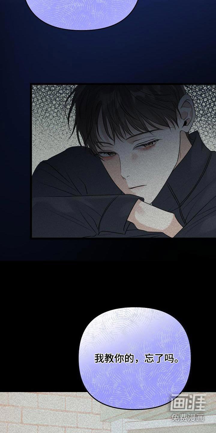 第116章：回来了