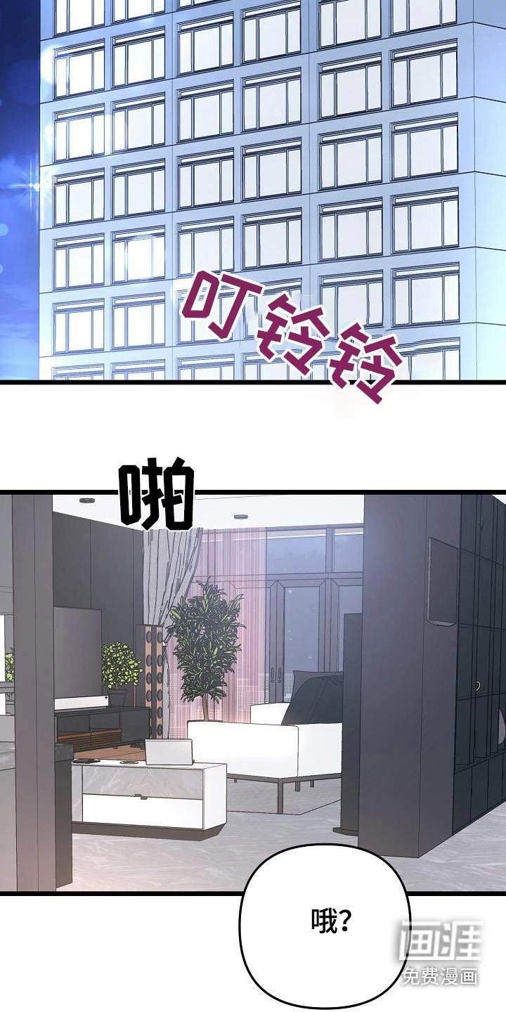 第116章：回来了