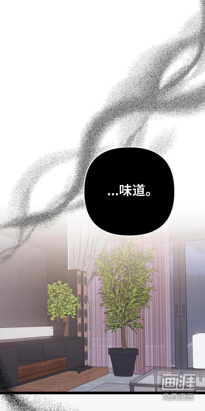 第117章：烟味