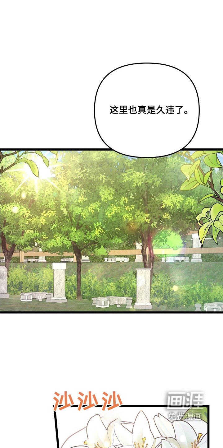 第132章：谁送的花