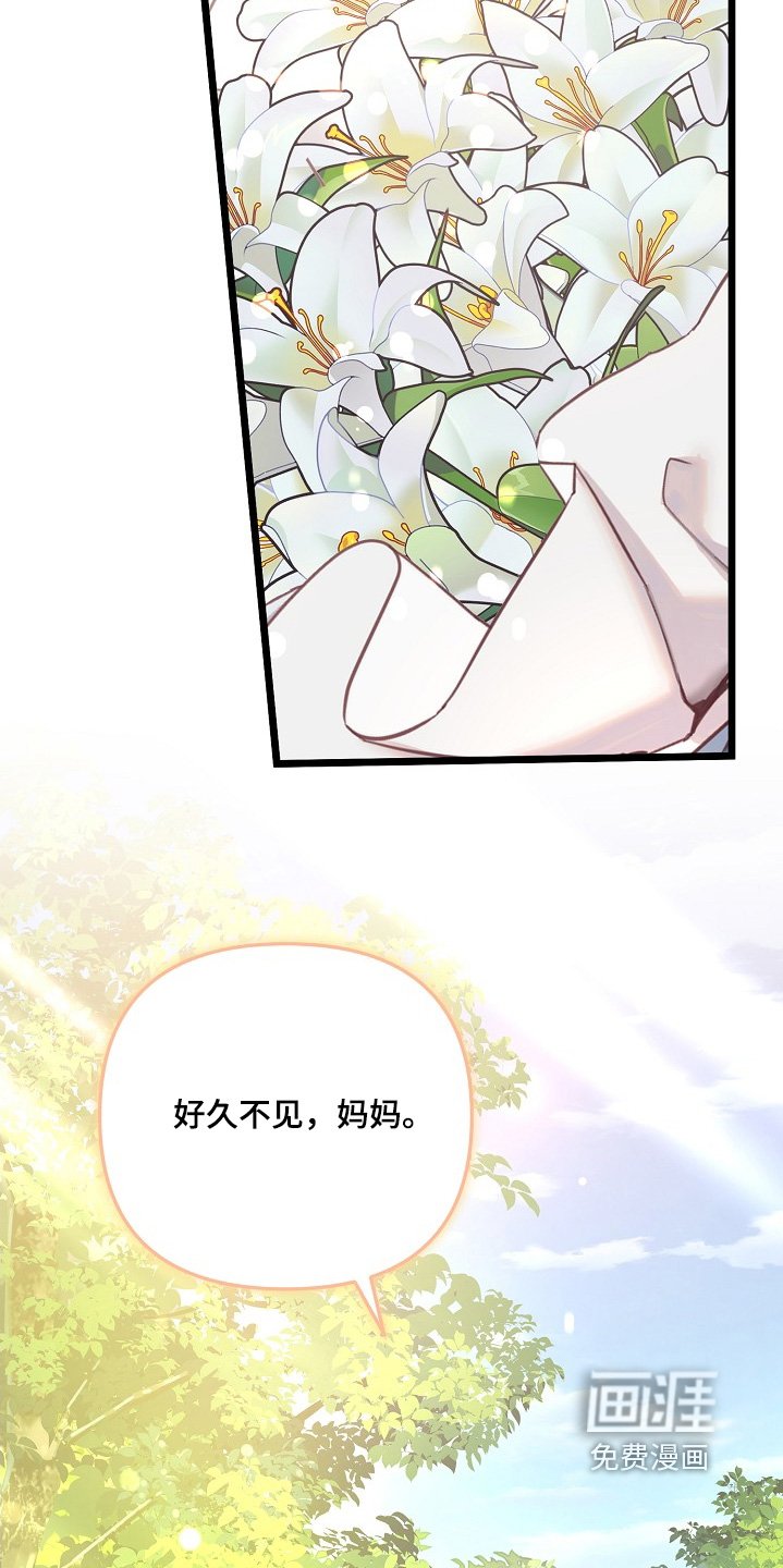 第132章：谁送的花