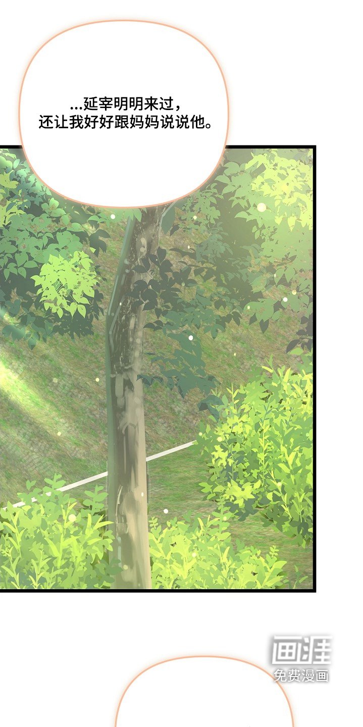 第132章：谁送的花