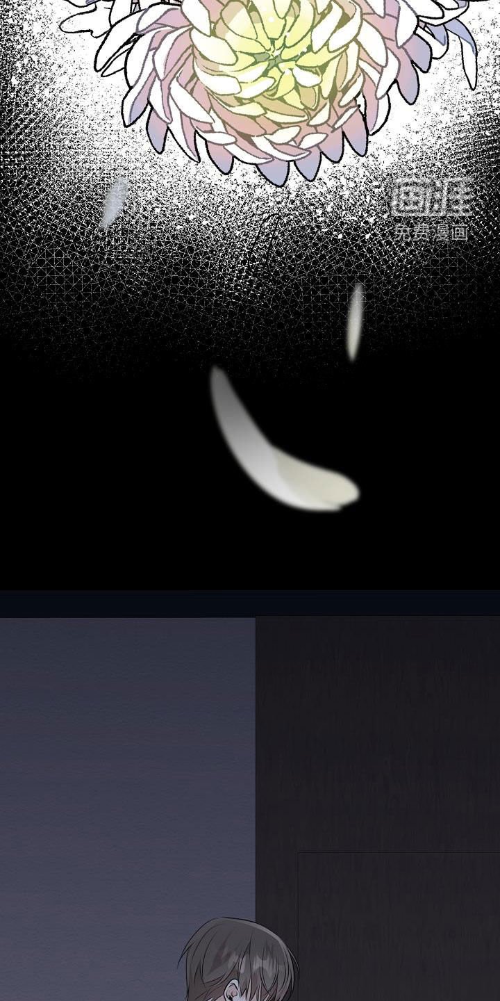 第20章：家庭