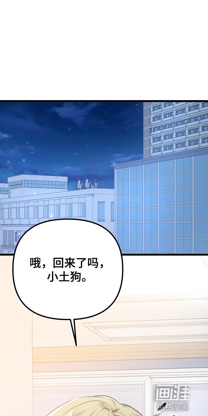 第46章：本质的问题