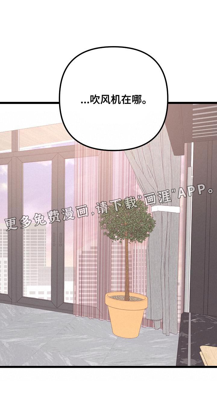 第54章：帮我吹头发