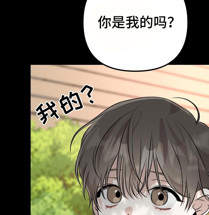 第57章：围墙