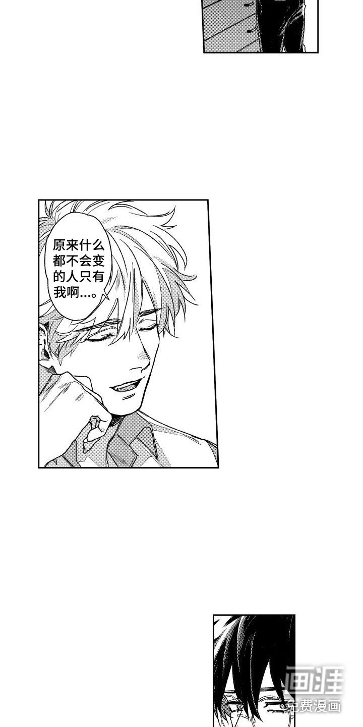 第12章：照片