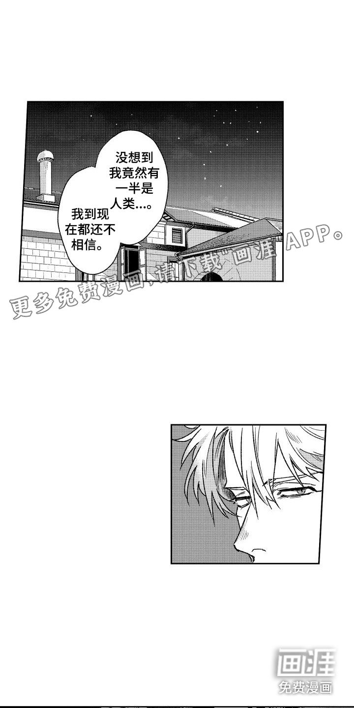 第24章：纠结