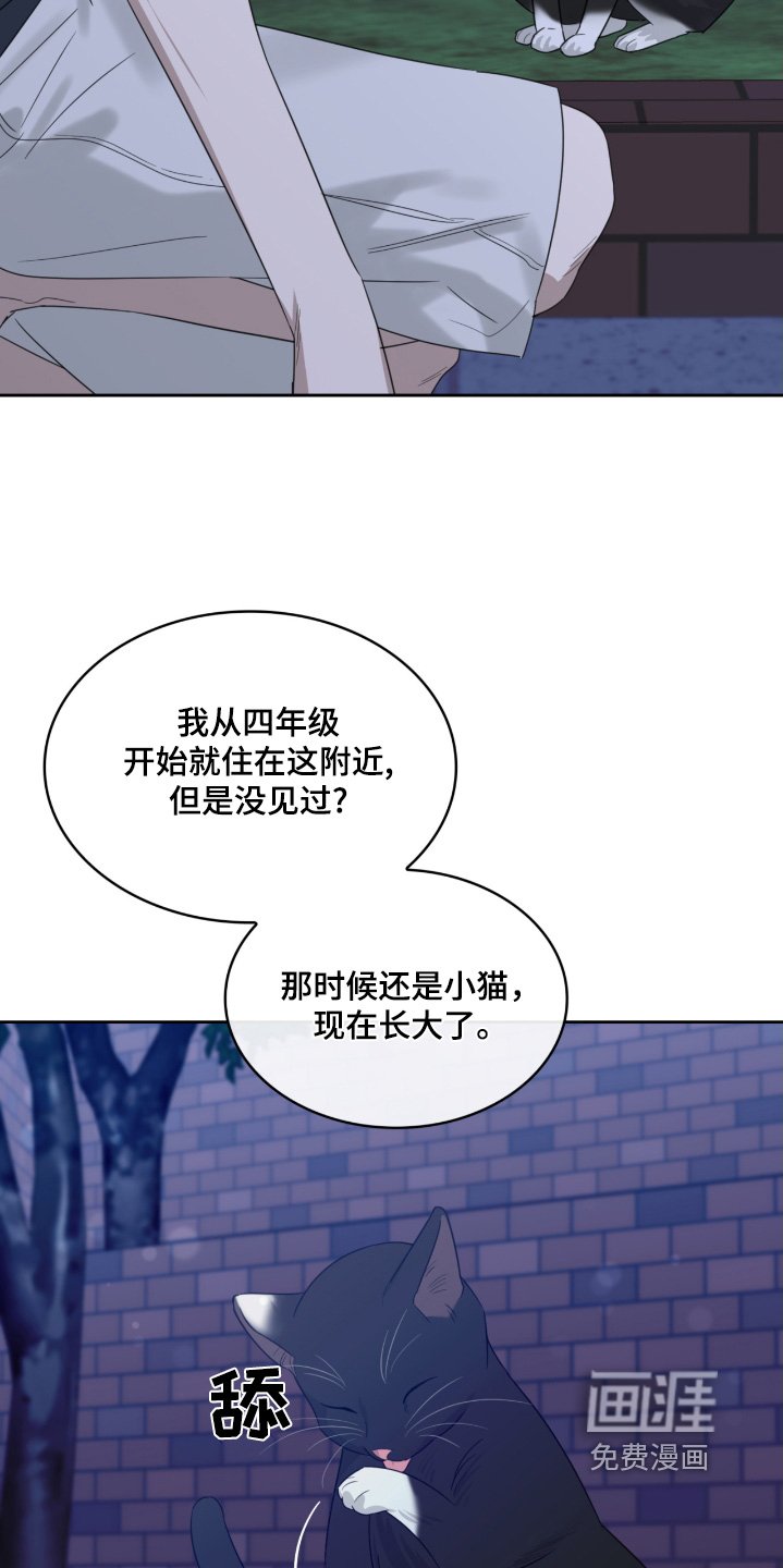 第122章：猫咪