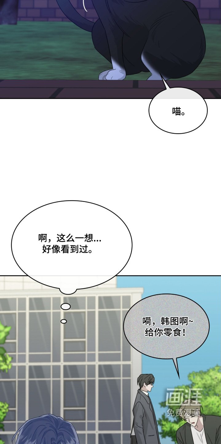 第122章：猫咪
