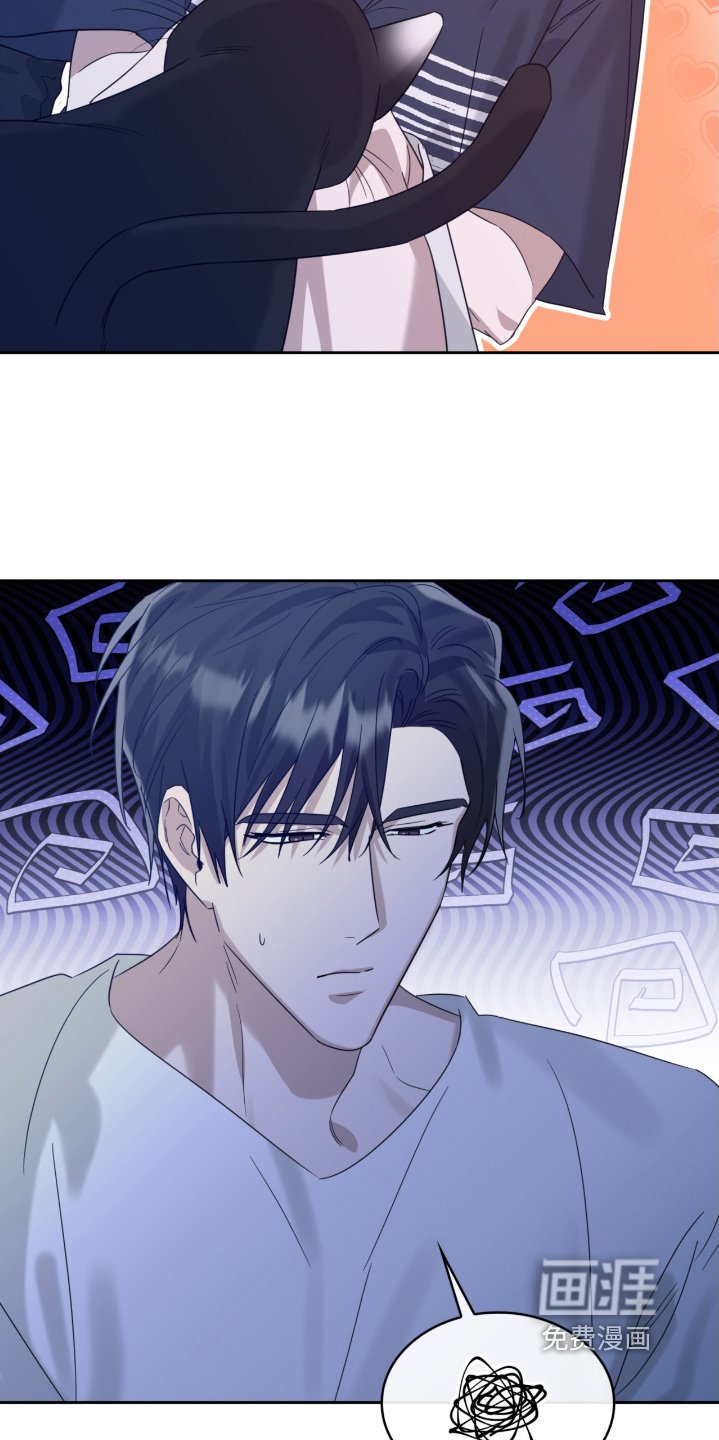 第122章：猫咪