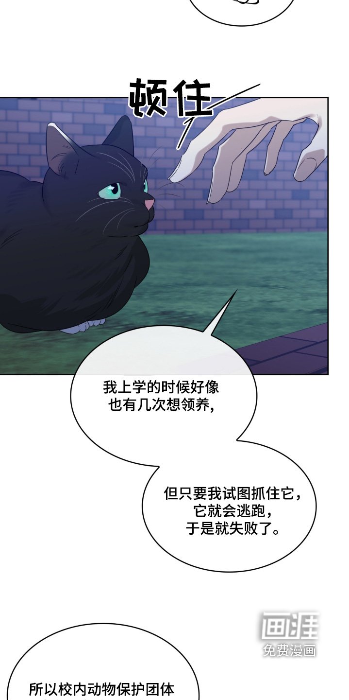 第122章：猫咪