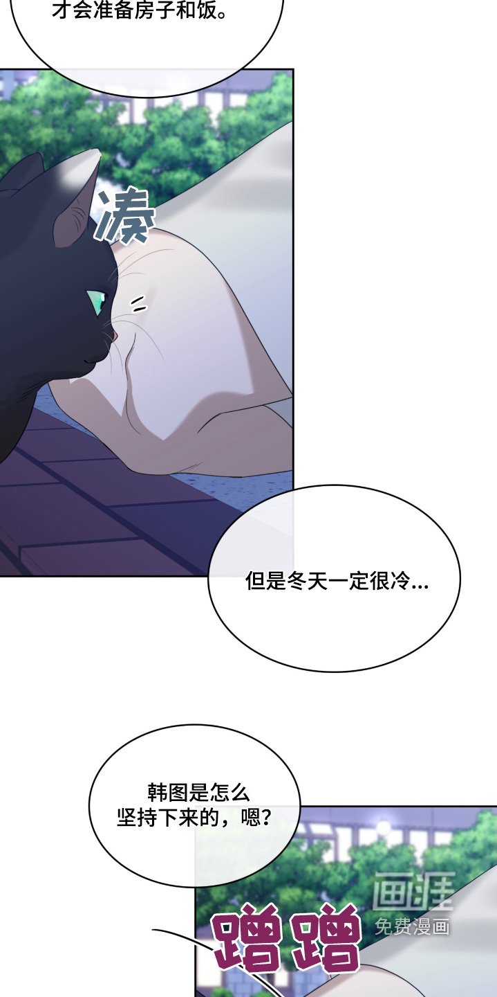 第122章：猫咪