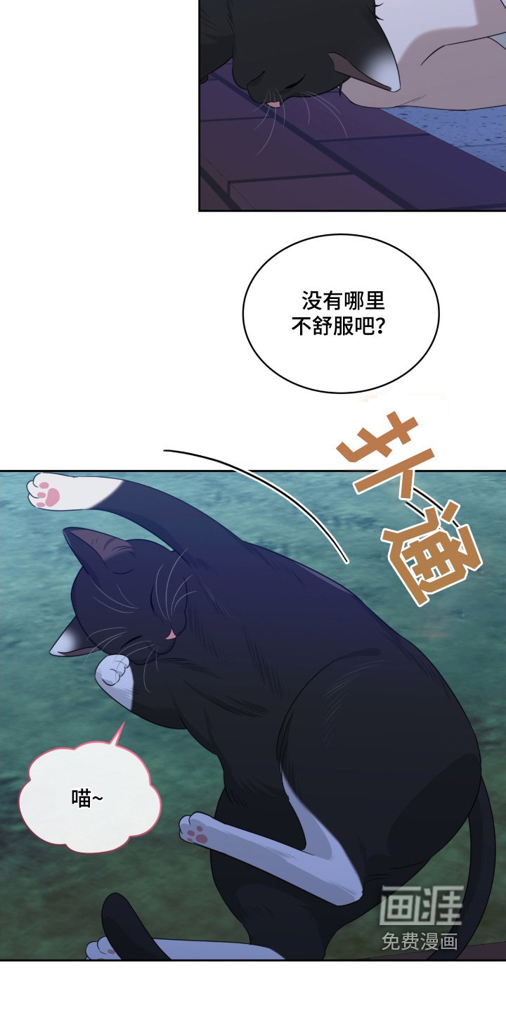 第122章：猫咪
