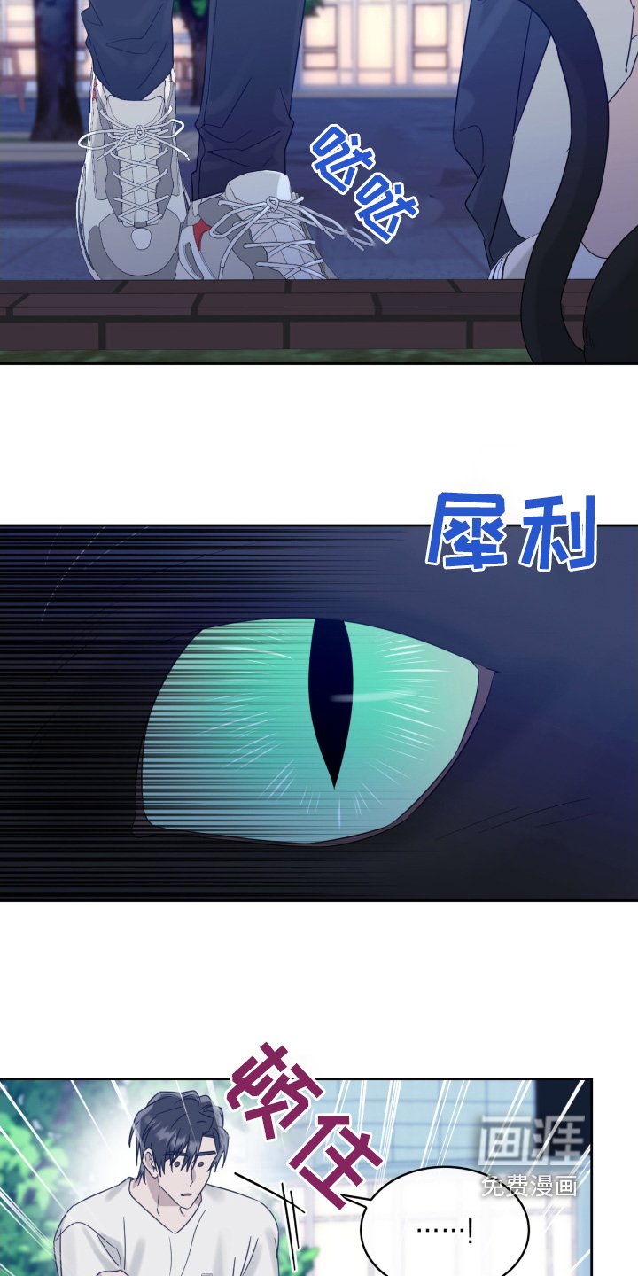 第122章：猫咪