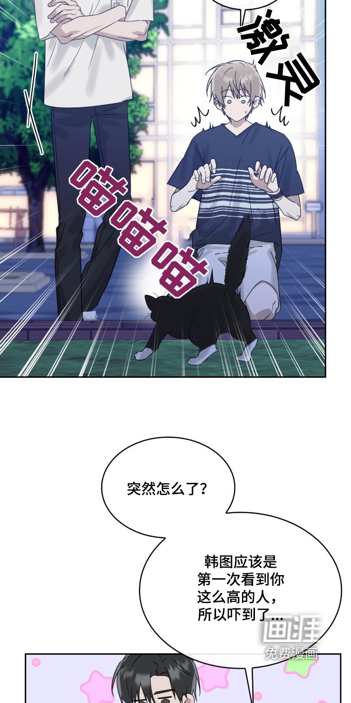 第122章：猫咪