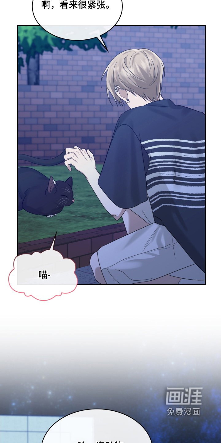 第122章：猫咪