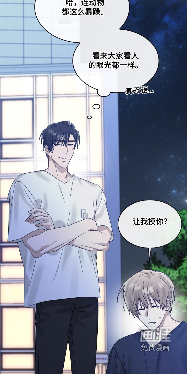 第122章：猫咪