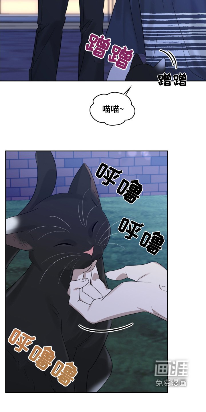 第122章：猫咪