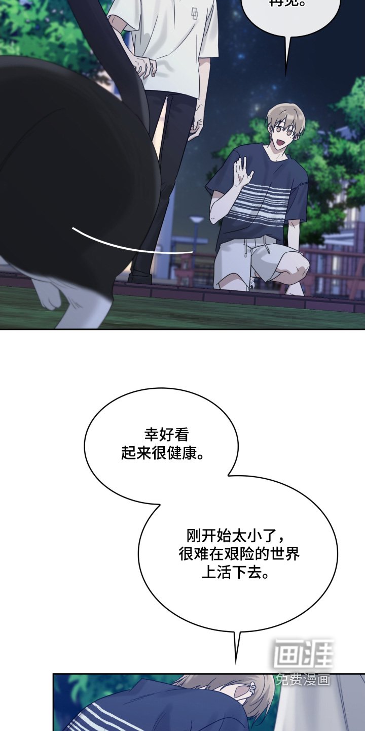 第122章：猫咪