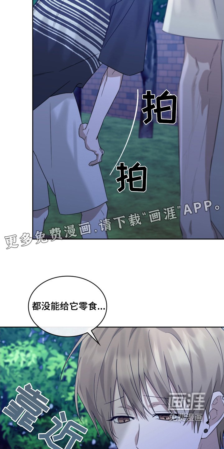 第122章：猫咪