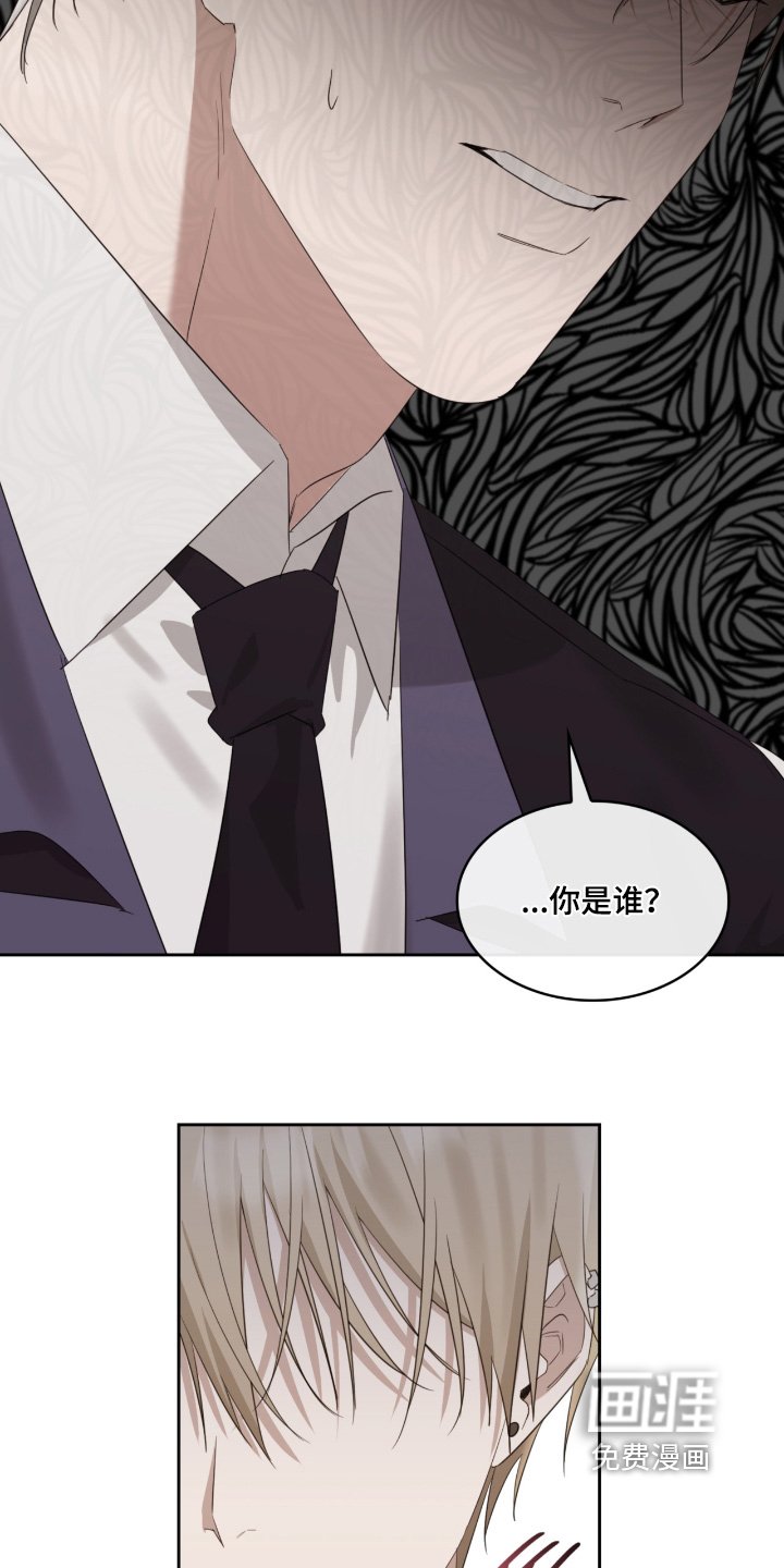 第142章：弟弟