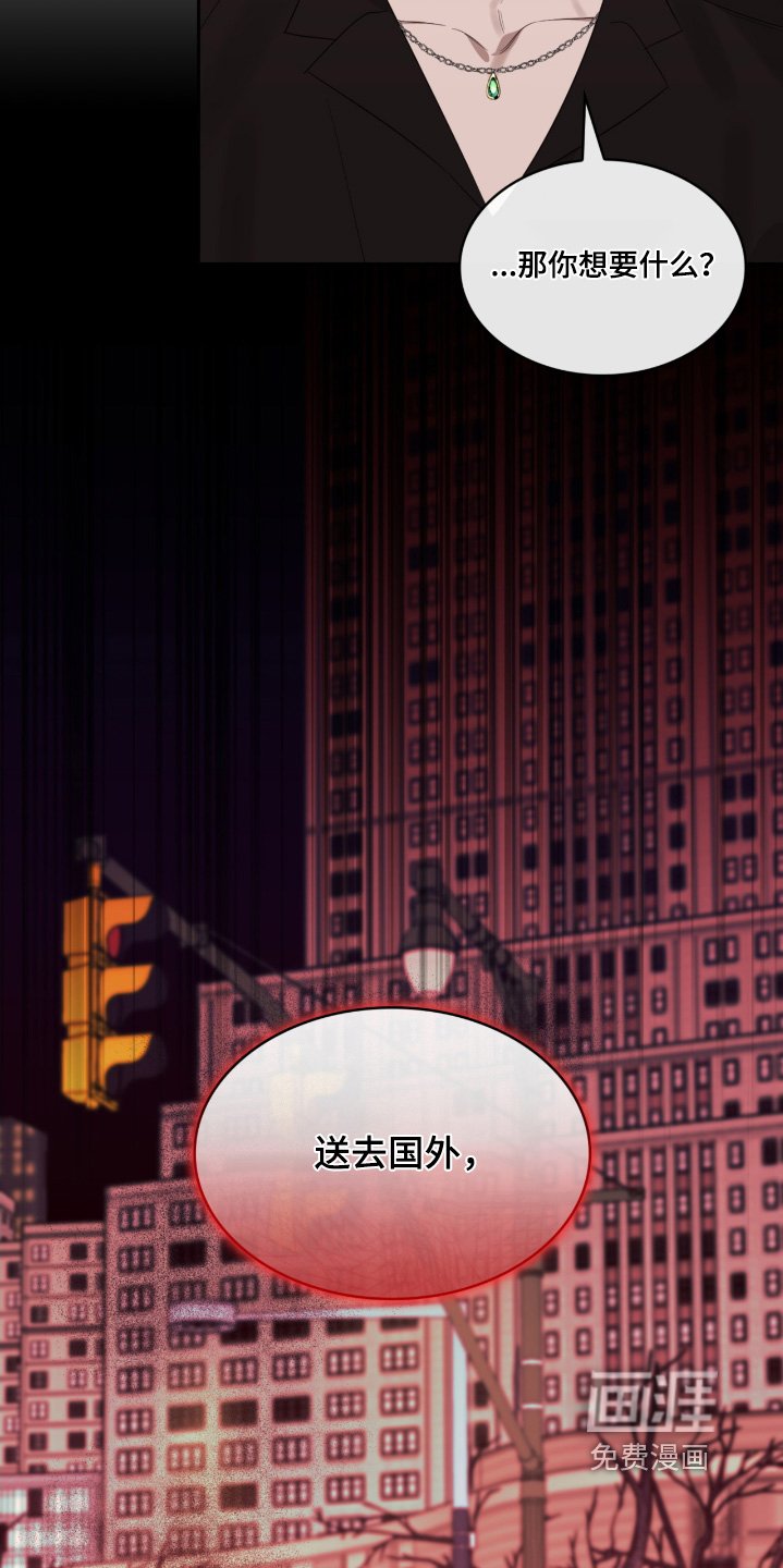 第146章：鉴定报告