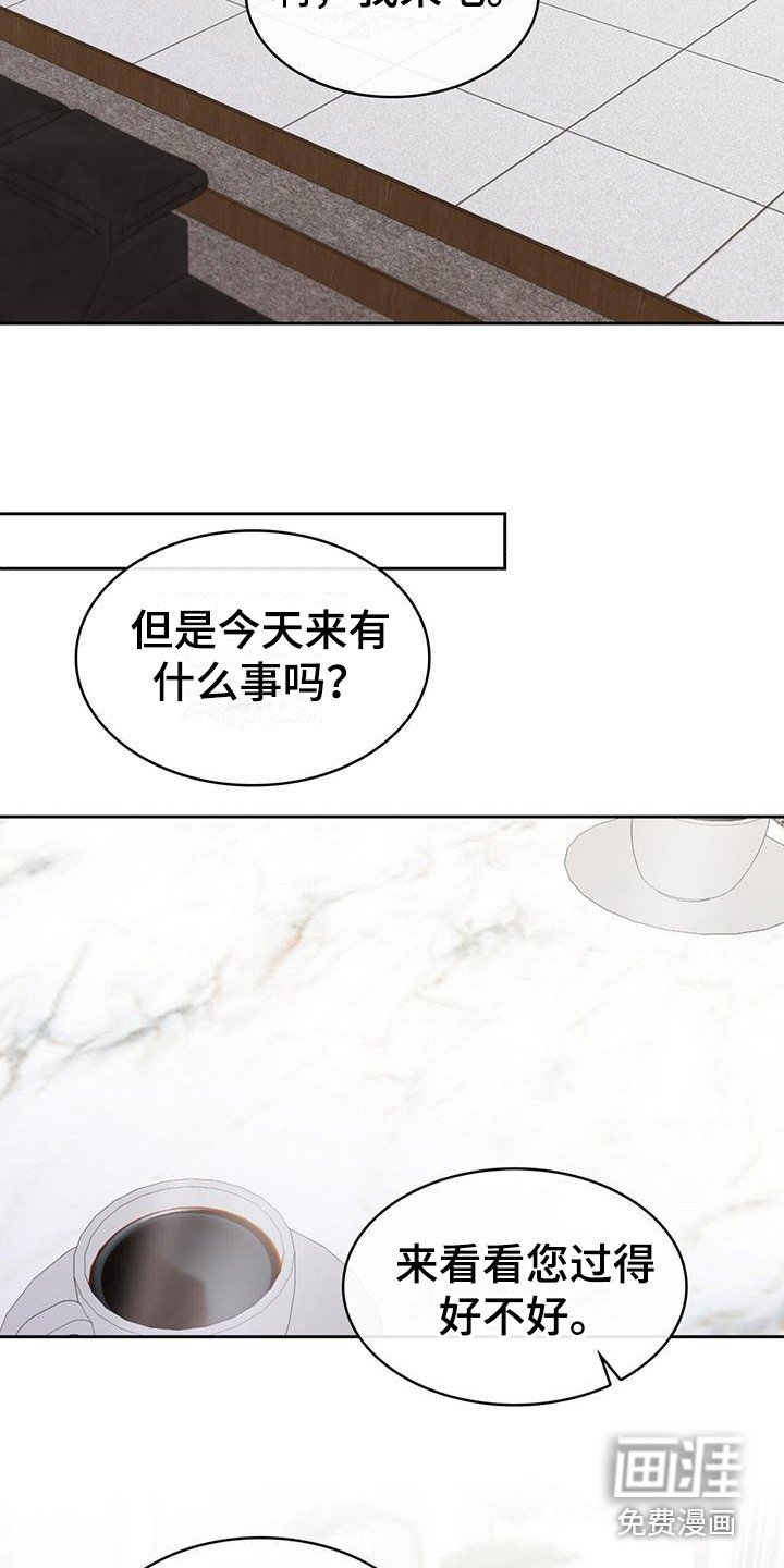 第19章：淡然