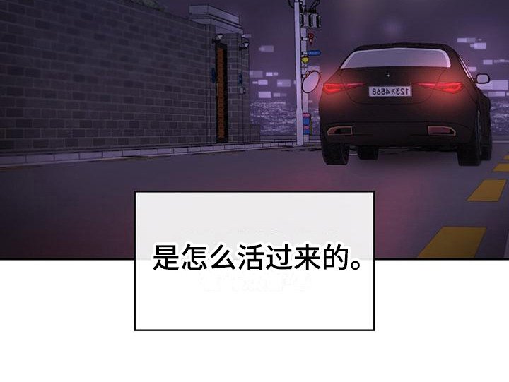 第21章：相似之处