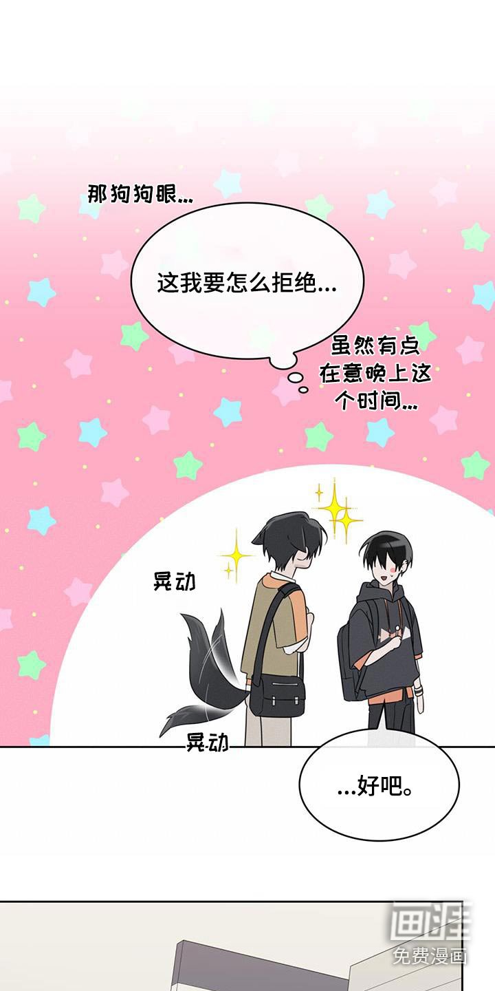 第82章：露营