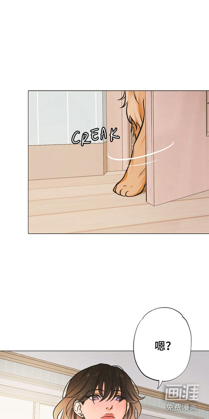 第1章：辛巴