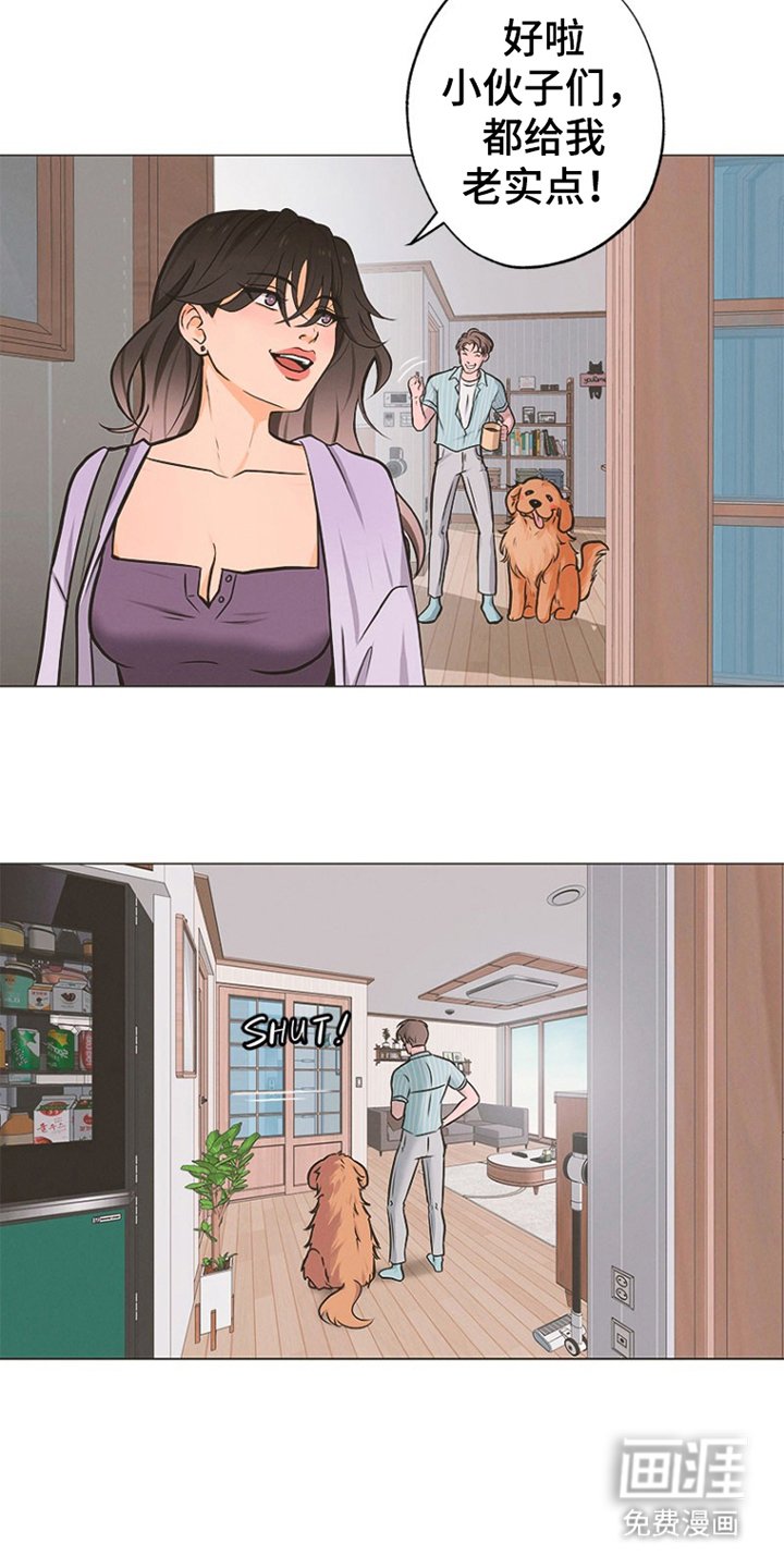 第1章：辛巴