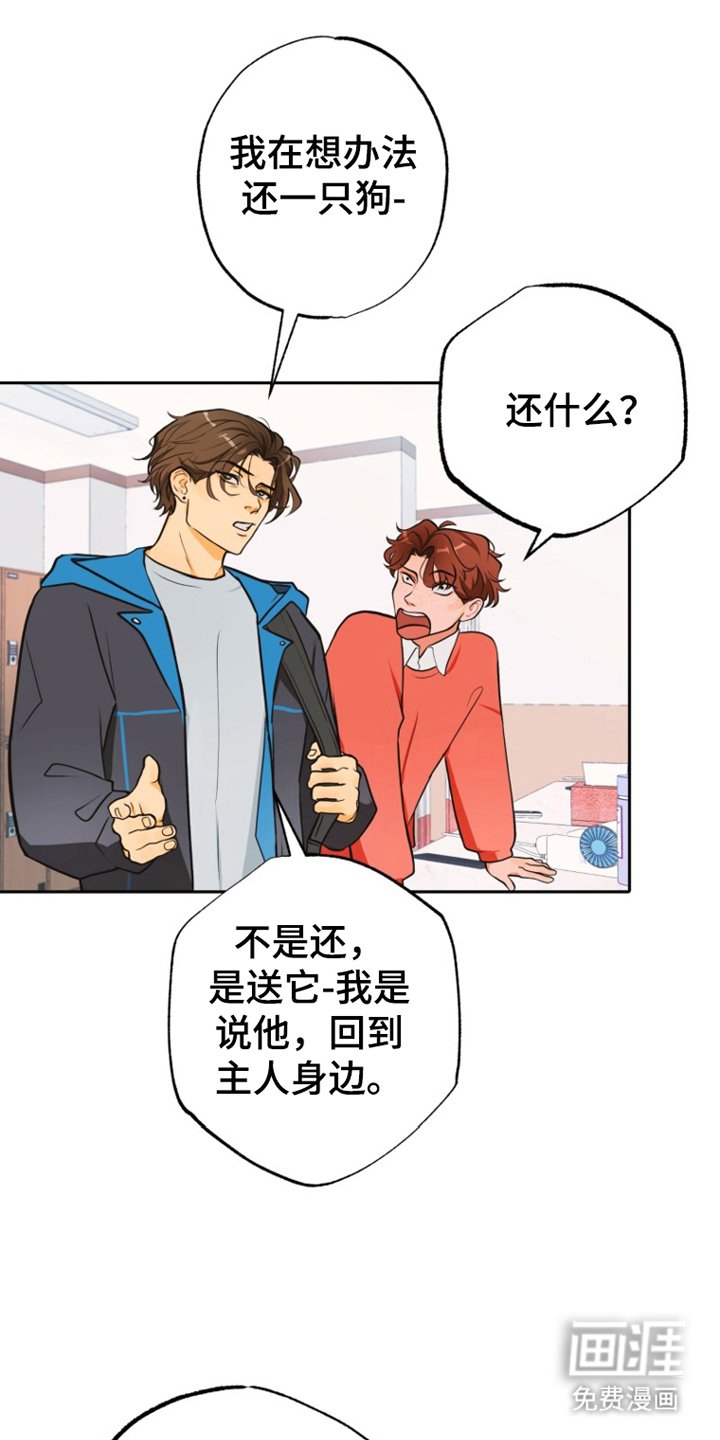 第11章：担心