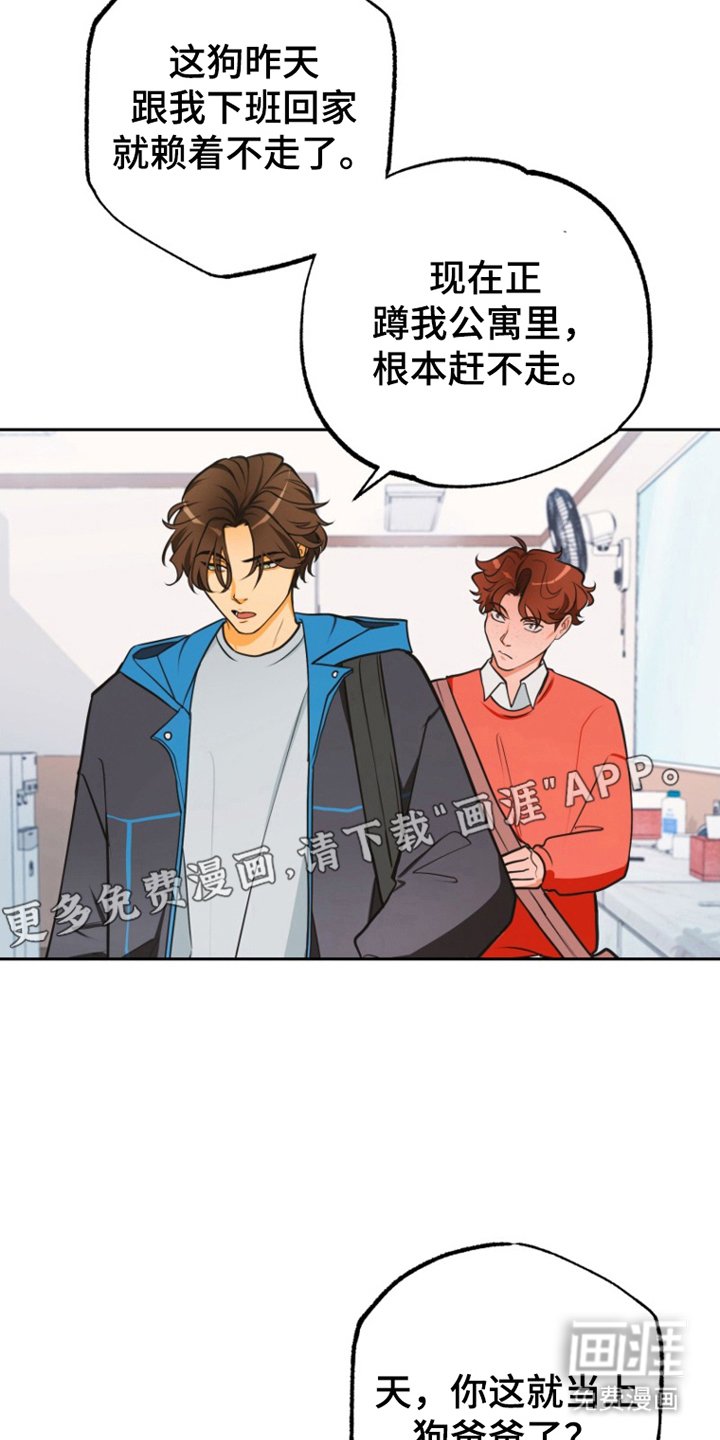 第11章：担心