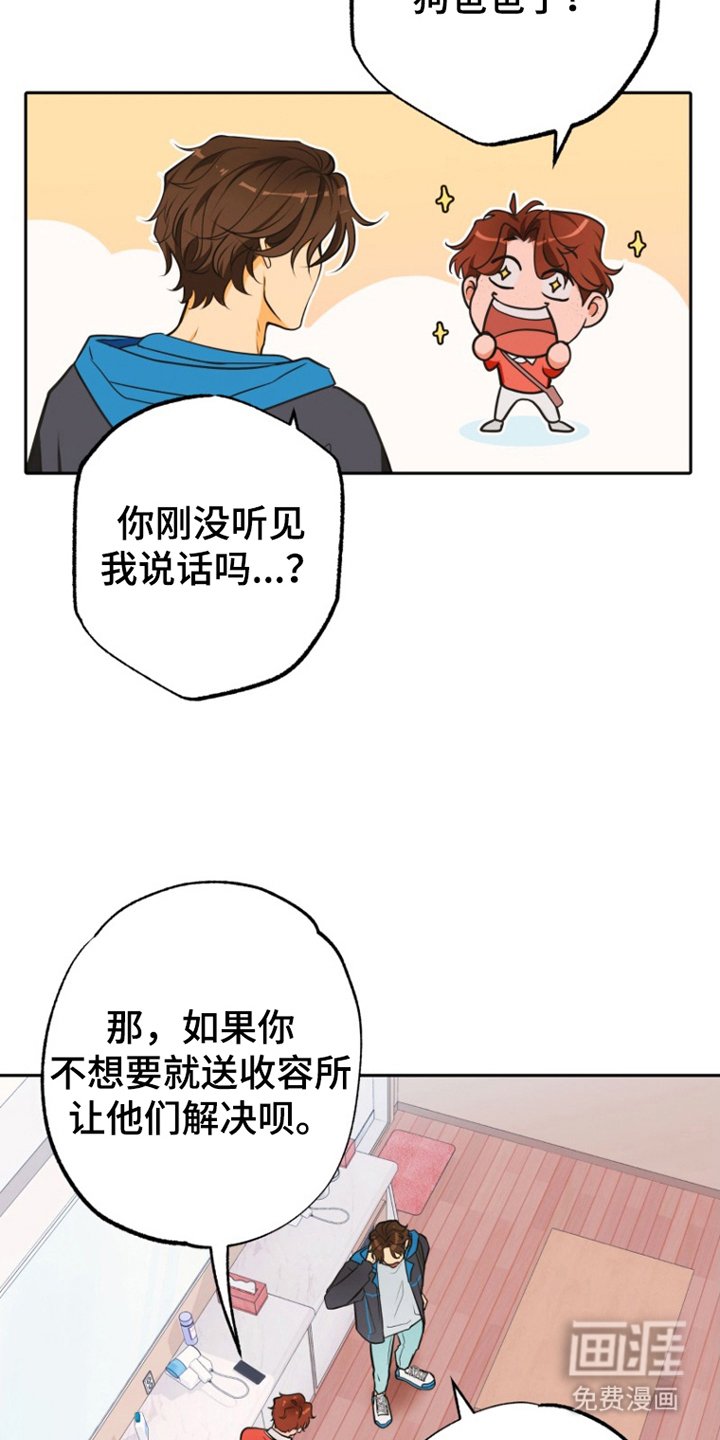 第11章：担心