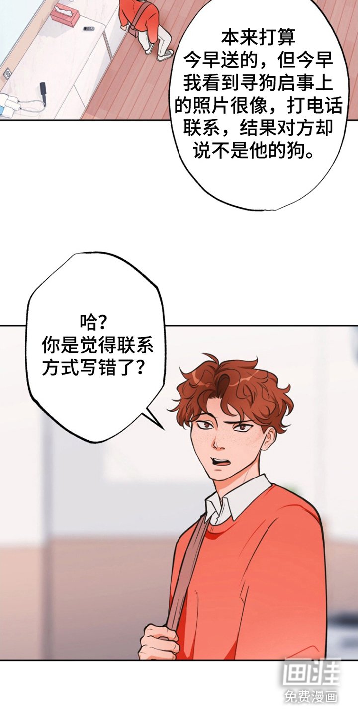 第11章：担心