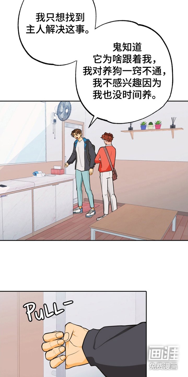 第11章：担心
