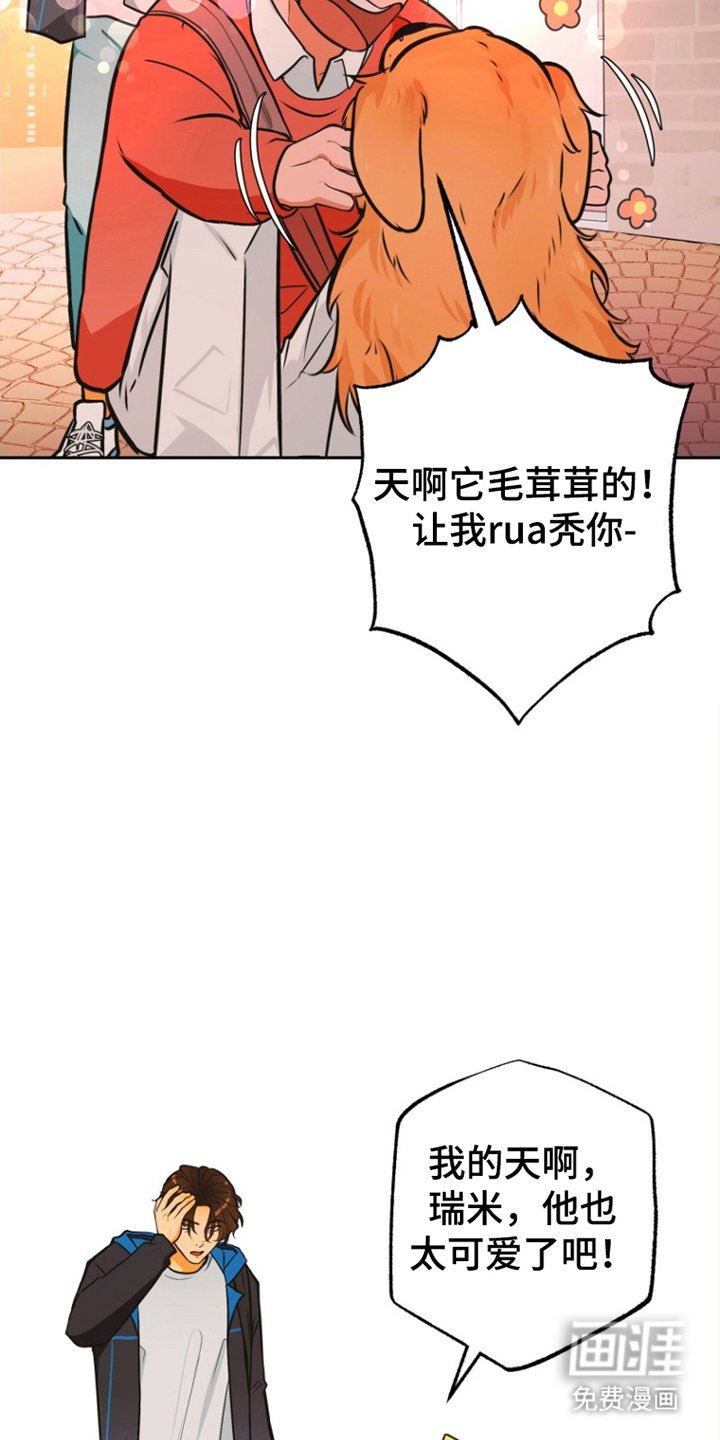 第11章：担心