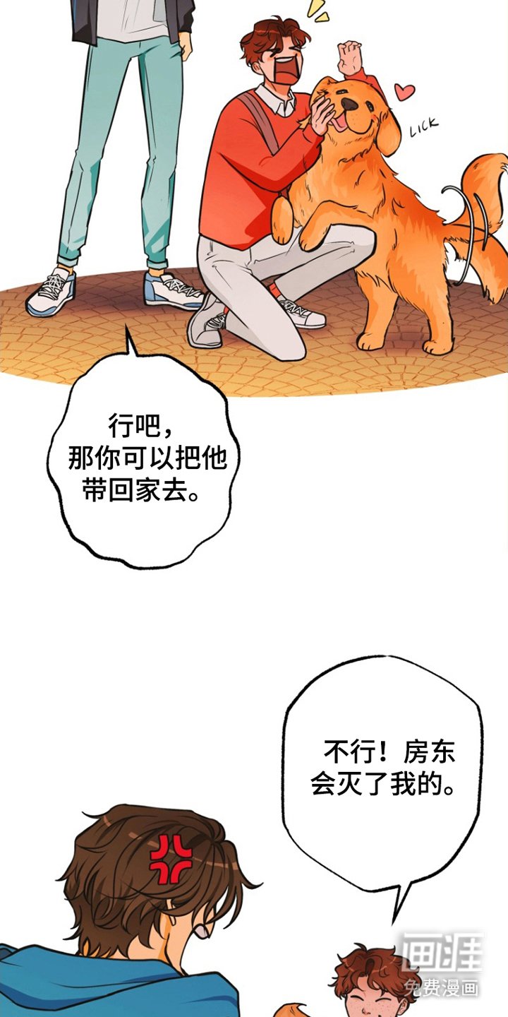 第11章：担心