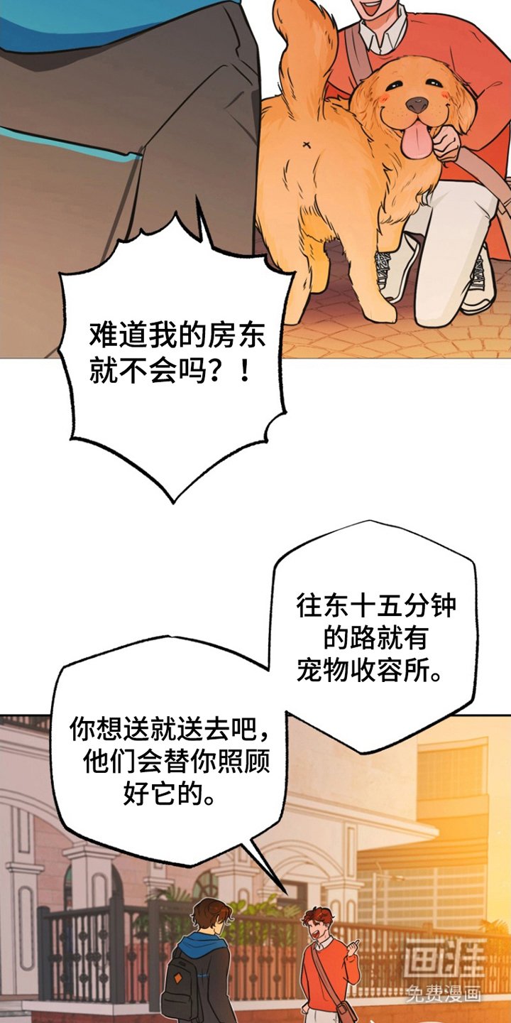 第11章：担心