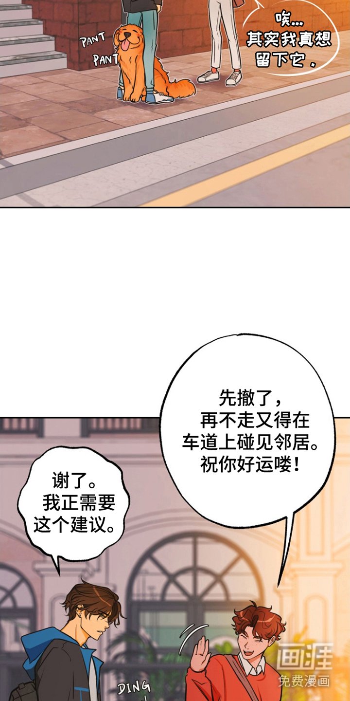 第11章：担心